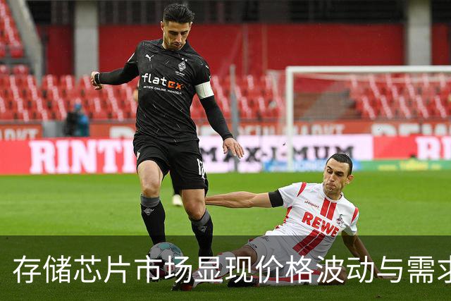 存储芯片市场显现价格波动与需求分化信号